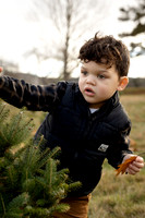 Godparent Home Tree Farm Minis 11.29.25