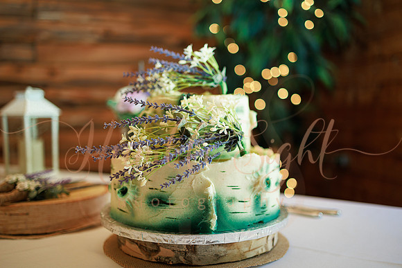 Wedding party portraits at Cascade Park in Bangor Maine