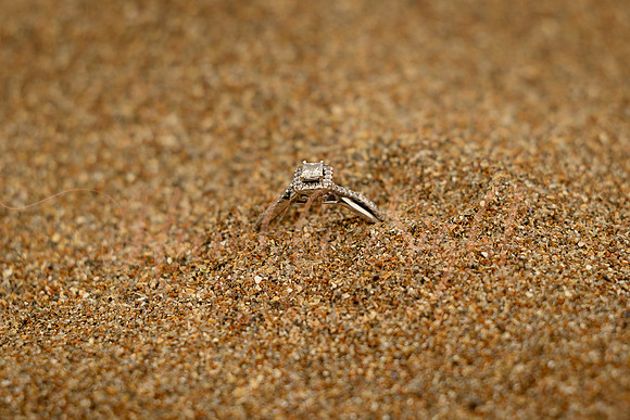 Acadia National Park engagement photos in May