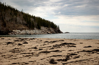 Romantic couples session in Acadia National Park