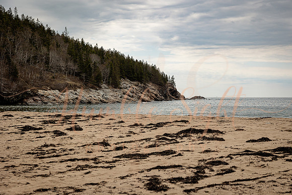 Romantic couples session in Acadia National Park