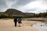 Acadia National Park couples portraits in spring