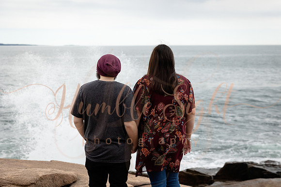 Destination engagement session in Acadia National Park