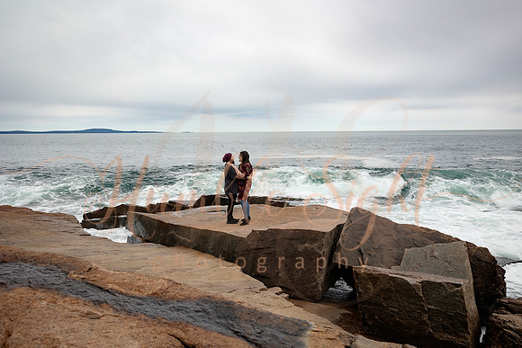 Acadia National Park couples portraits in spring