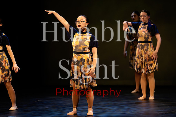 Bangor Maine dance recital performance photos