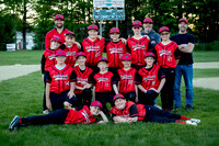 Holbrook Little League Baseball | Nickerson & O'Day Team Photos 2026