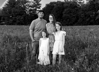 McNaughton Family Lupines