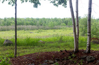 Intimate outdoor wedding in Bangor Brewer area