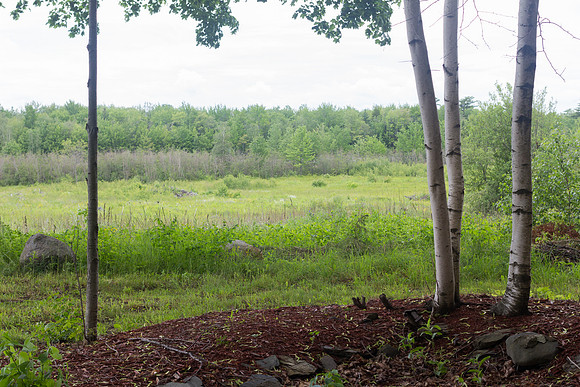 Intimate outdoor wedding in Bangor Brewer area