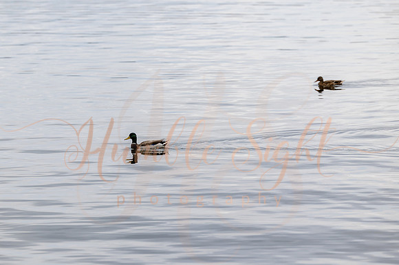Intimate lake wedding at Maine family camp