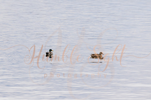 Intimate waterfront wedding in Enfield Maine