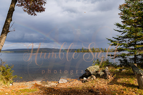 Maine dock wedding with family and friends