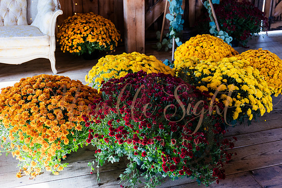 October wedding ceremony at Timber Hitch Farmhouse Maine