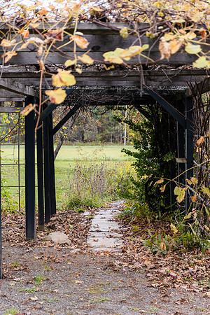 Fall wedding celebration in rural Maine