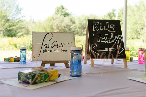 Bangor area backyard wedding photographer