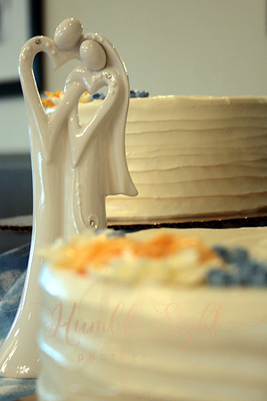 Oceanfront wedding in Bar Harbor Maine