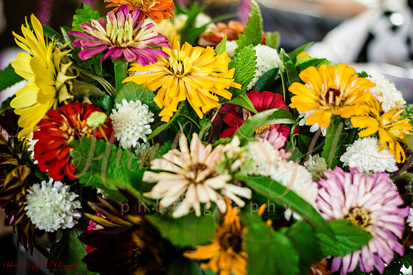 Small Maine wedding with close family and friends