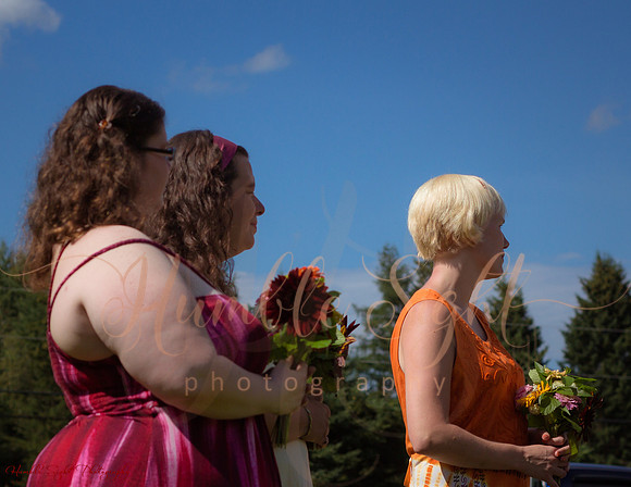 Summer backyard wedding in rural Maine