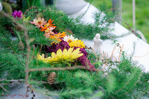 Dexter Maine wedding photographer backyard ceremony