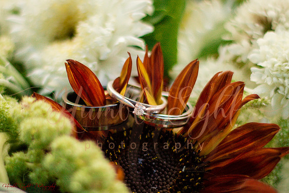 Family-focused wedding celebration in central Maine