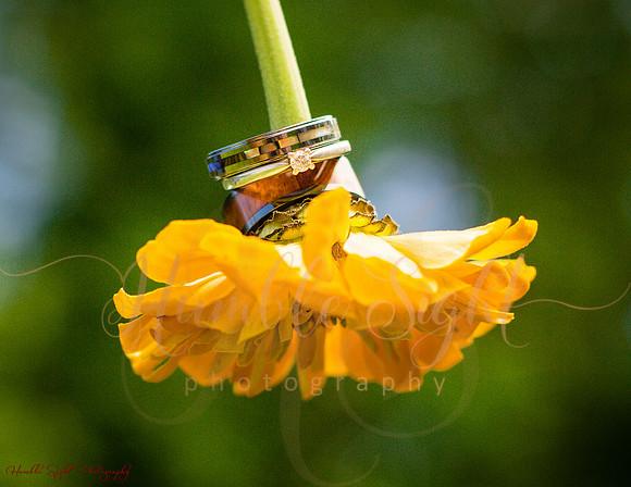 Summer backyard wedding in rural Maine
