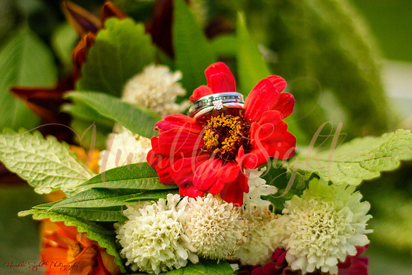 Central Maine private home wedding