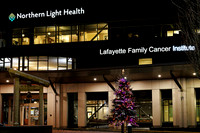 NL EMMC Lights of Life 12.5.2024